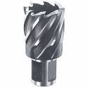 3/4 X 2 ANNULAR CUTTER - Annular Cutters