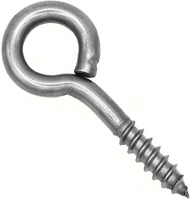 1/4 X 5 EYE LAG SCREW S/S - Stainless Steel