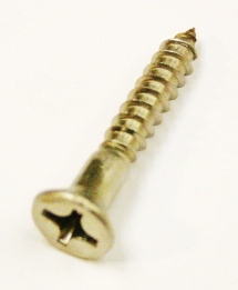 #10 X 2 FPWS S/S - Stainless Steel